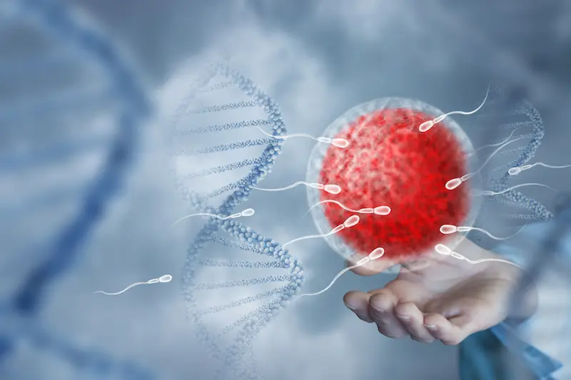 Co-Culture Cost in Turkey 