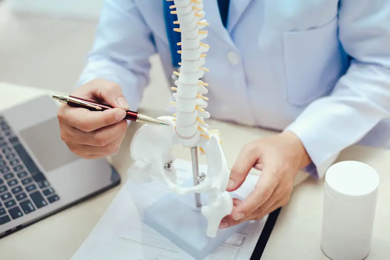 Консультация перед операцией на опухоли позвоночника в Турции: хирург использует модель позвоночника для объяснения деталей.