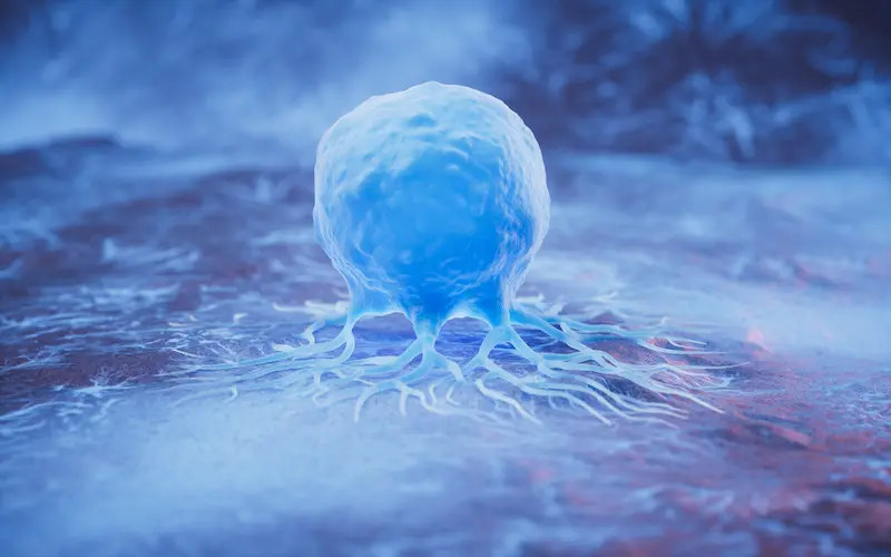 КиберНож в Турции